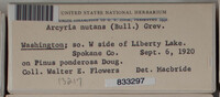 Image Associated With the Occurence